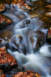 Wild water from the Ilse flows over rocks in a stream bed covered with autumn leaves, Ilse Valley,