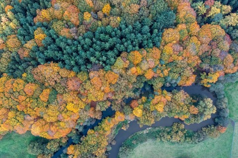 The river Hunte, which surrounds a green island with autumn-colored trees, viewed from the air,
