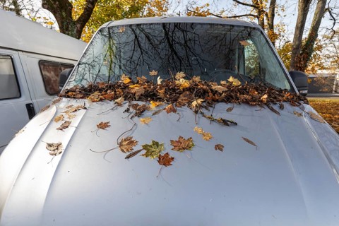 A car parked in a parking lot in Germany is completely covered with autumn leaves at the front. The