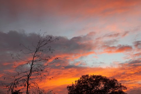 Wonderful sunset, impressive, so beautiful, Moormerland, East Frisia, Niederschsen, Germany