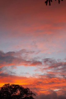 Wonderful sunset, impressive, so beautiful, Moormerland, East Frisia, Niederschsen, Germany