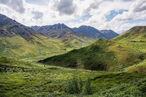 Tundra and mountainous landscape of the Alaska Range, Sable Pass, Denali National Park and