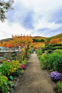 Flower Bridge, Bridge of Flowers, Deerfield River Bridge, Gardens, Fall Leaves, Indian Summer,