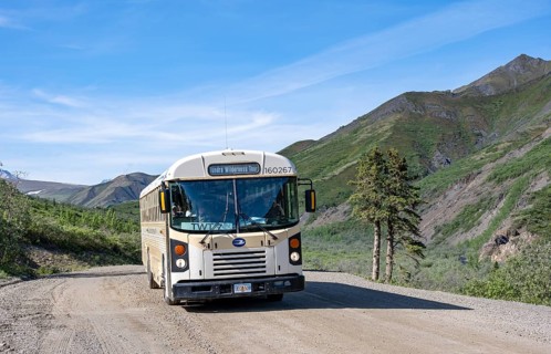 Tourist bus Tundra Wilderness tour, national park bus on a dirt road, mountain scenery, Denali Park