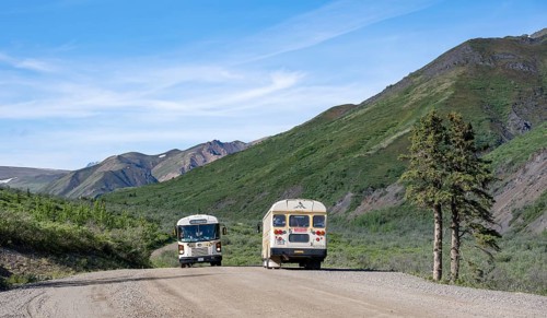 Tourist buses, national park bus on a dirt road, mountainous landscape, Denali Park Road, Denali