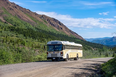 Tourist bus, national park bus on a dirt road, mountainous landscape, Denali Park Road, Denali