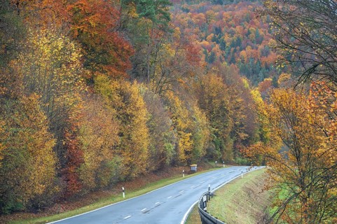 Federal road leads through an autumnal mixed forest, Gräfenberg, Upper Franconia, Bavaria, Germany