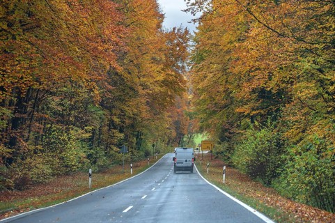 Federal road surrounded by mixed autumn forest, Gräfenberg, Upper Franconia, Bavaria, Germany