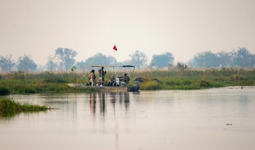 Tourist boat, tourists taking pictures of elephants, Xakanaxa Lagoon, Okavango Delta, Moremi Game