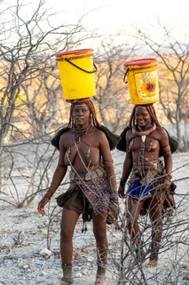Himba woman fetching water, heavy buckets on their heads, traditional Himba, Kaokoveld, Kunene,