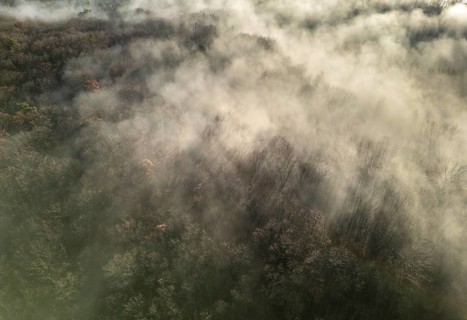 Aerial view of fog over forest in backlight, St.Veit, Berndorf, Lower Austria, Austria