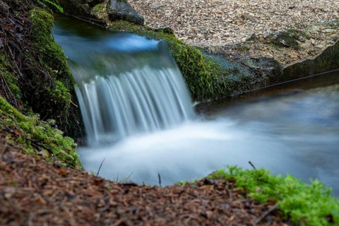 Clear mountain stream, moss-covered stones, Zgornje Jezersko mountaineering village, Slovenia