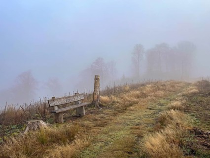 Winterberg, Sauerland, North Rhine-Westphalia, Germany - fog landscape on the Schweden-Steig W1