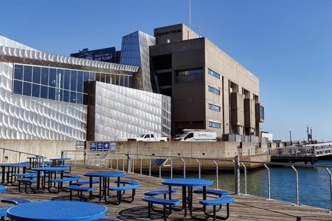New England Aquarium, benches on patio, distinctive modern architecture, Central Wharf, waterfront,