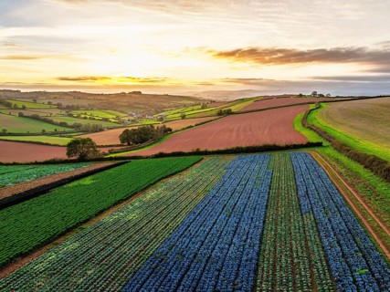 Colours of autumn Fields and Farms over Sheldon from a drone, Torbay, Devon, England, United