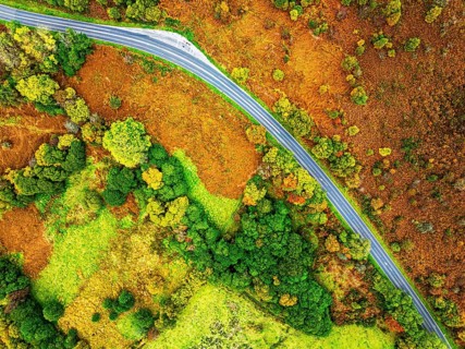 Top Down view of Autumn colours over River Wye and Road A470 from a drone, Llanidloes, Powys,