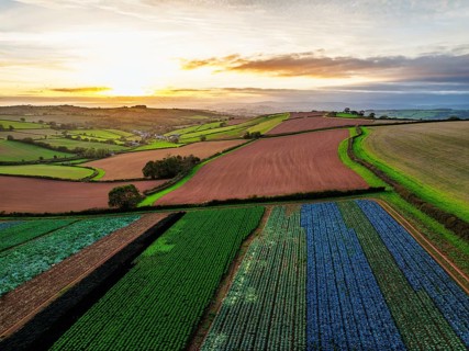 Colours of autumn Fields and Farms over Sheldon from a drone, Torbay, Devon, England, United