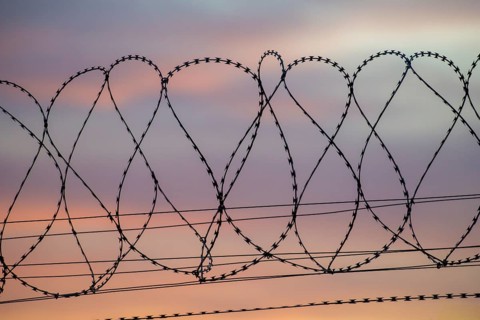 Barbed wire against a pastel evening sky offers a contrasting view, Baden-Württemberg, Germany