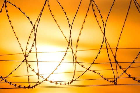 Barbed wire in the foreground at sunset, yellow-orange colors dominate, Baden-Württemberg, Germany
