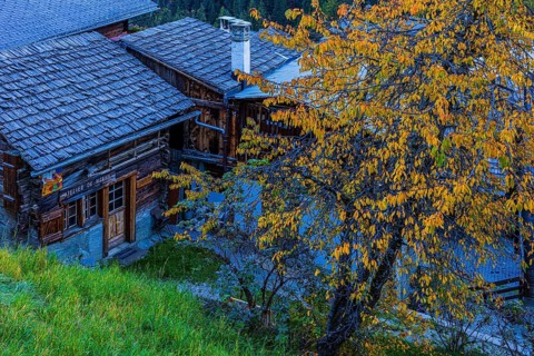 Old farmhouse and deciduous tree in autumn colors, Grimentz, Val d'Anniviers, Valais Alps, Canton