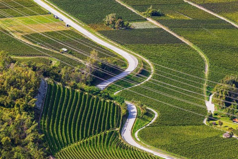 Power lines across vineyards and fields, view from Vercorin, Val d'Anniviers, Valais Alps, Canton