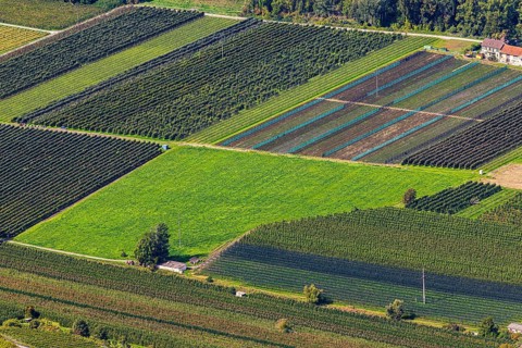 Rectangular fields, Calais, view from Vercorin, Val d'Anniviers, Valais Alps, Canton of Valais,