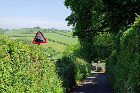 A picturesque tree-lined road with a steep warning sign in a green rolling countryside, Cornwall,