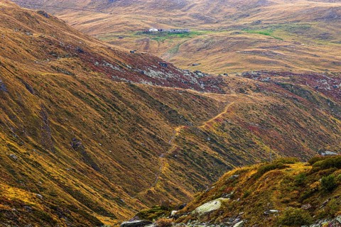 Alpine meadows in autumn colors above the Lac de Moiry reservoir, Val d'Anniviers, Valais Alps,