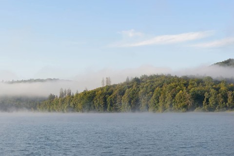 Hennesee, morning fog, blue sky, Hennetalsperre, Sauerland-Rothaargebirge nature park Park, North