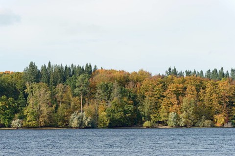View over Lake Möhnesee, mixed autumn forest on the shore, overcast sky, Möhnetalsperre, North