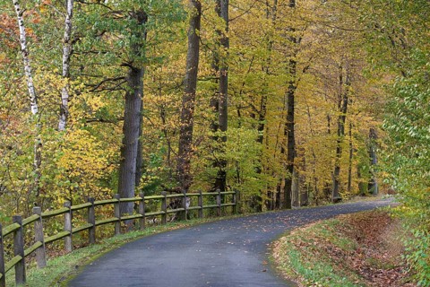 Riverside trail leads through the autumn forest at Möhnesee, Möhnetalsperre, North