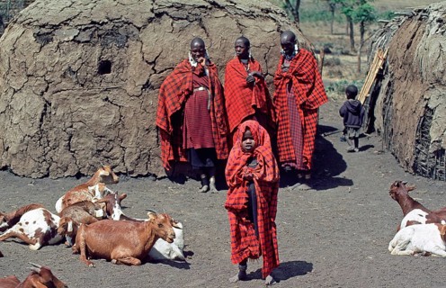 Maasai woman, children and goats in their village in the Ngorongoro Crater, Tanzania, June 2000,