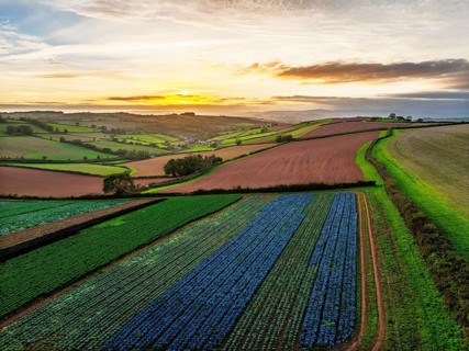Colours of autumn Fields and Farms over Sheldon from a drone, Torbay, Devon, England, United
