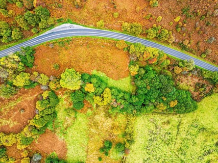 Top Down view of Autumn colours over River Wye and Road A470 from a drone, Llanidloes, Powys,