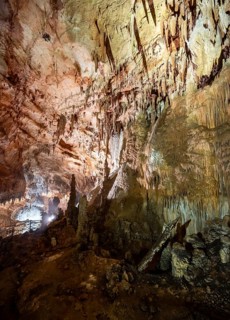 Stalactites and stalagmites, rock formations in a stalactite cave, Grotta del Fico, Gulf of Orosei,