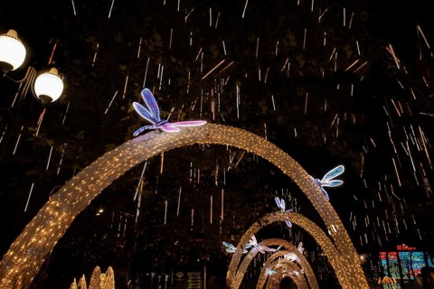 Krasnodar before the New Year. Russia