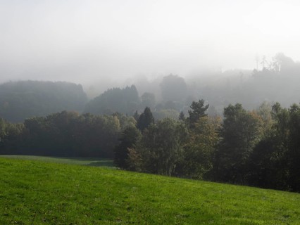 Landscape with meadows, forest and fog, Upper Lusatian mountain landscape, Zittau Mountains,