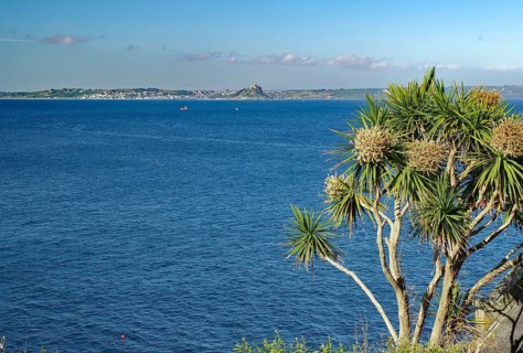 A view of the sea with distinctive palm trees and a distant island, Saint Michael's Mount,