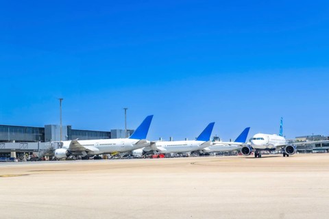 Several white and blue airplanes parked at airport gates on a clear, sunny day, waiting for their