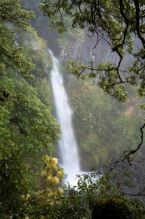 Dawson Falls Waterfall. Egmont National Park, Taranaki Region, North Island, New Zealand