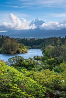 Lake Mangamahoe with views of Mount Taranaki. Egmont National Park, Taranaki Region, North Island,