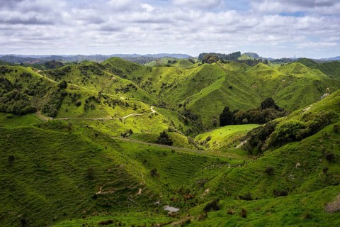 Hilly landscape with meadows along State Highway 43 (SH 43), also known as the Forgotten World