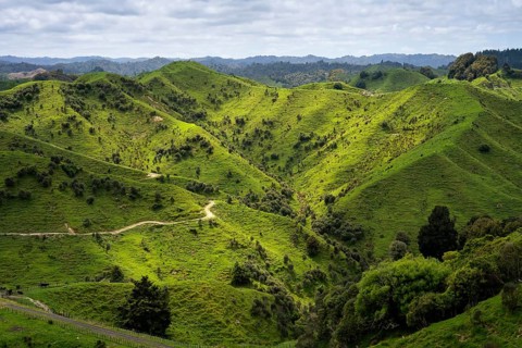 Hilly landscape with meadows and trees along State Highway 43 (SH 43), also known as the Forgotten