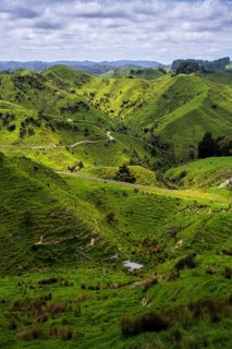 Hilly landscape with meadows along State Highway 43 (SH 43), also known as the Forgotten World