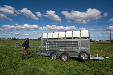 After loading the sheep, shepherd dismantles the ferch in the pasture, Rehna, Mecklenburg.