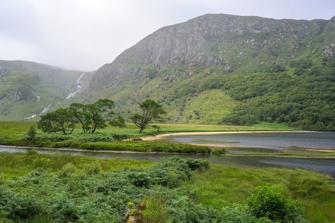 Group of trees and beach at the mouth of the Owenacoo River and Lough Beagh in the background