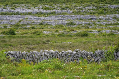 Stone wall in the karst landscape of the Burren, Keelhilla, Carran, County Clare, Ireland