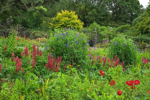 Castle Gardens, Glenveagh National Park, Cross Roads, Co. Donegal, Ireland