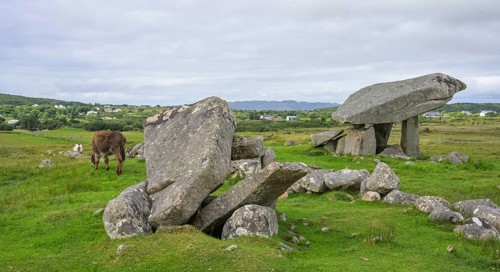 Donkey at the dolmen of, Kilclooney, County Donegal, Ireland