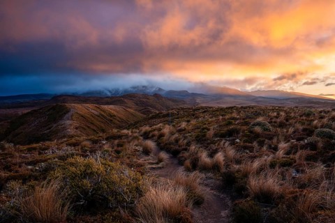 Volcanic landscape, Tama Lake Walk (Tama Lakes Track), Mt Ruapehu in clouds, evening light, sunset.